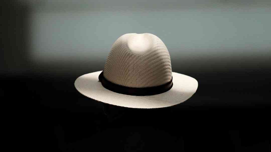 سئو کلاه سفید (white hat) چیست؟ و چه مشخصه هایی دارد؟